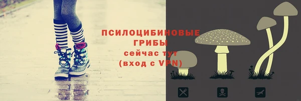 2c-b Алексеевка