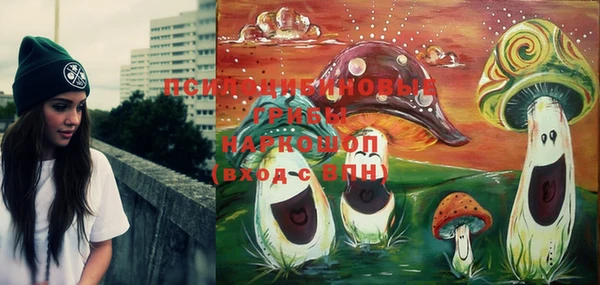дмт Мегион
